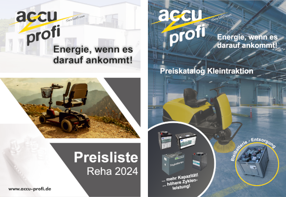 accu-profi Solution GmbH & Co. KG - Online.Shop